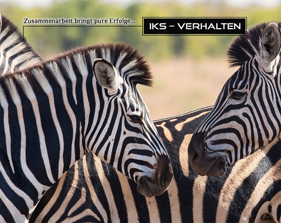 IKS – Verhalten fallback