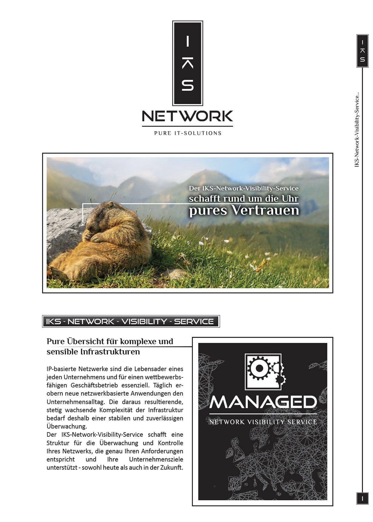  IKS-Network–Visibility-Service 