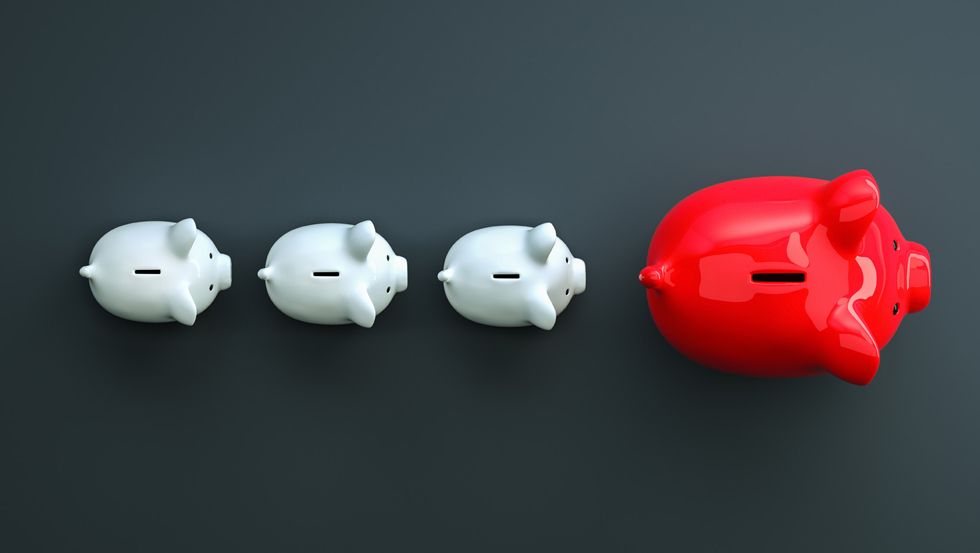 Das pure Förderprogramm ist da